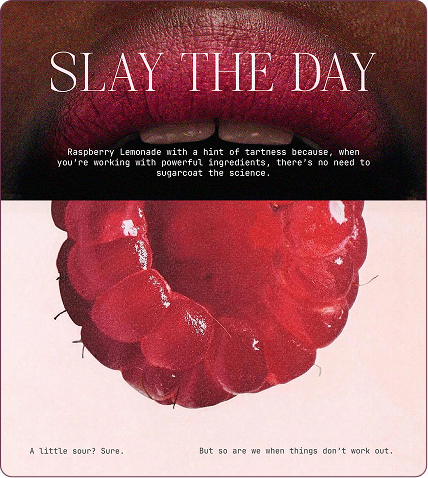 Slay the Day